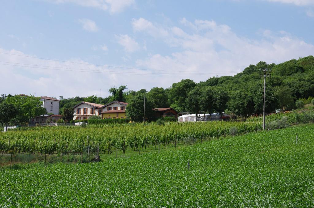 Agriturismo Casa Villi Solferino Exterior foto